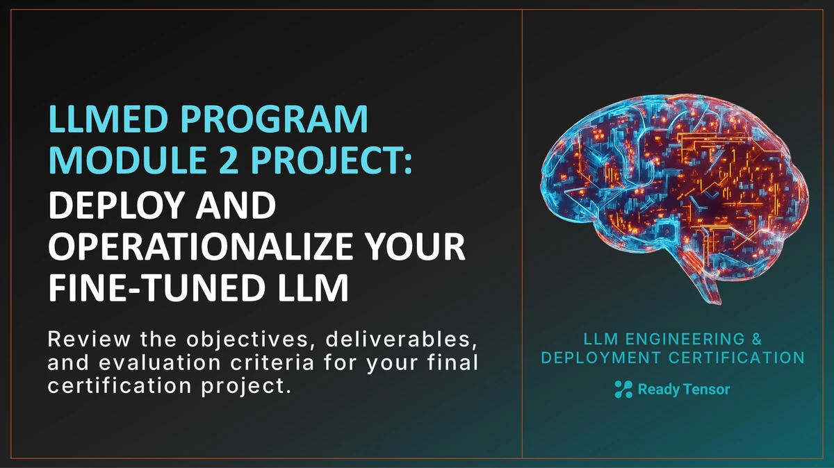 LLMED-project-requirements-module2.webp