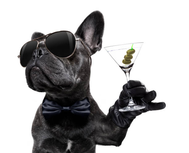 FrenchBullDog.jpg