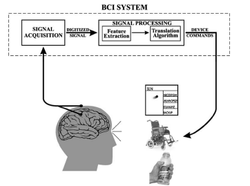bci.png