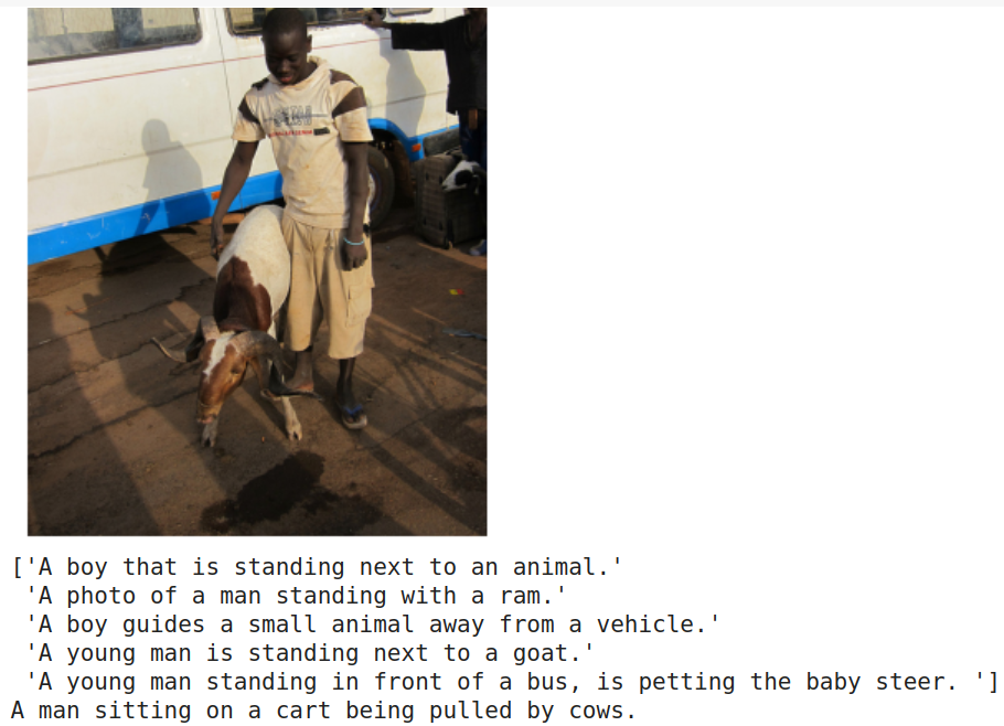 sample_image_captioned2.png