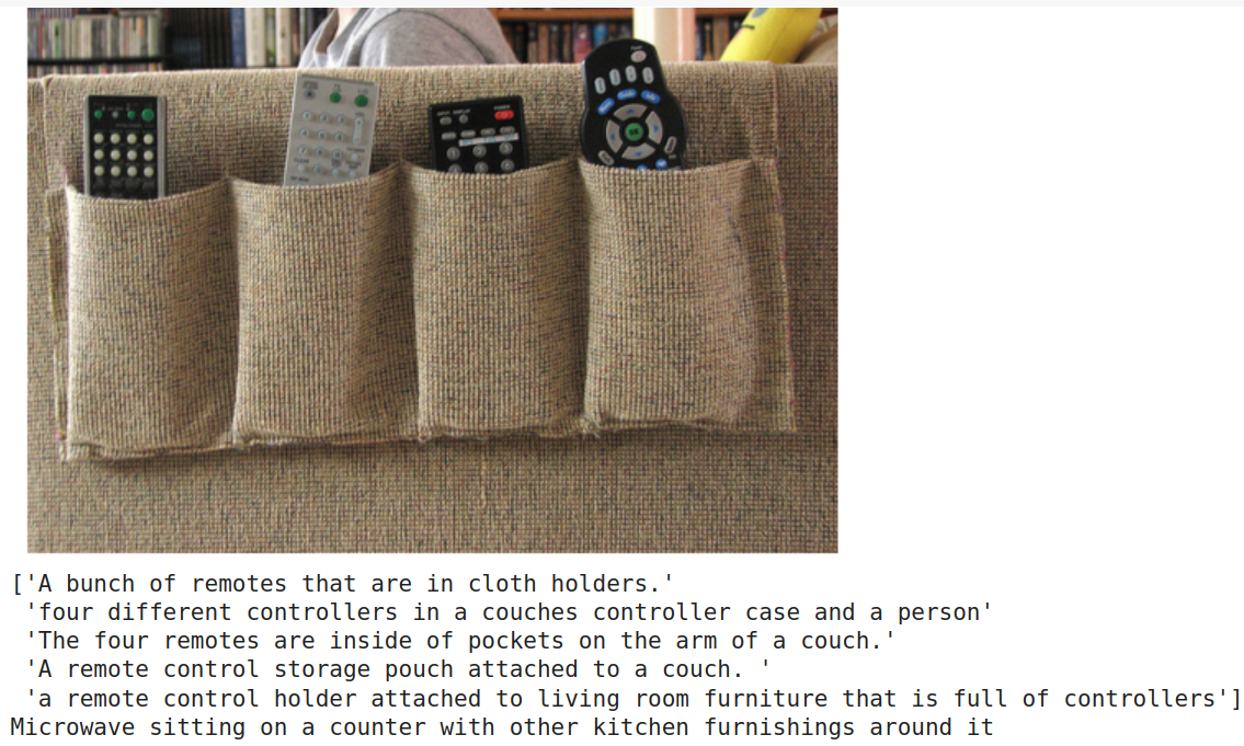 sample_image_captioned3.png