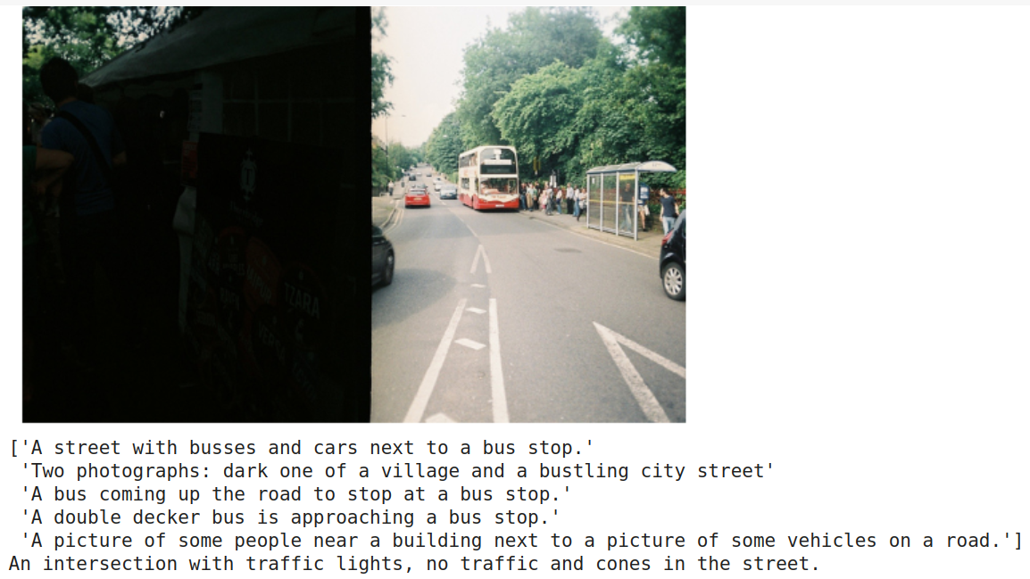 sample_image_captioned4.png