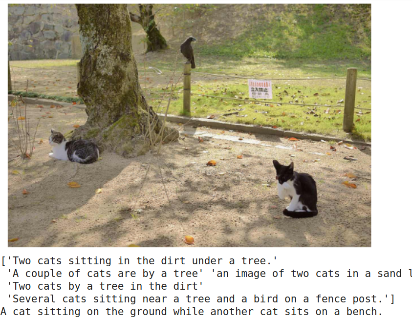 sample_image_captioned5.png