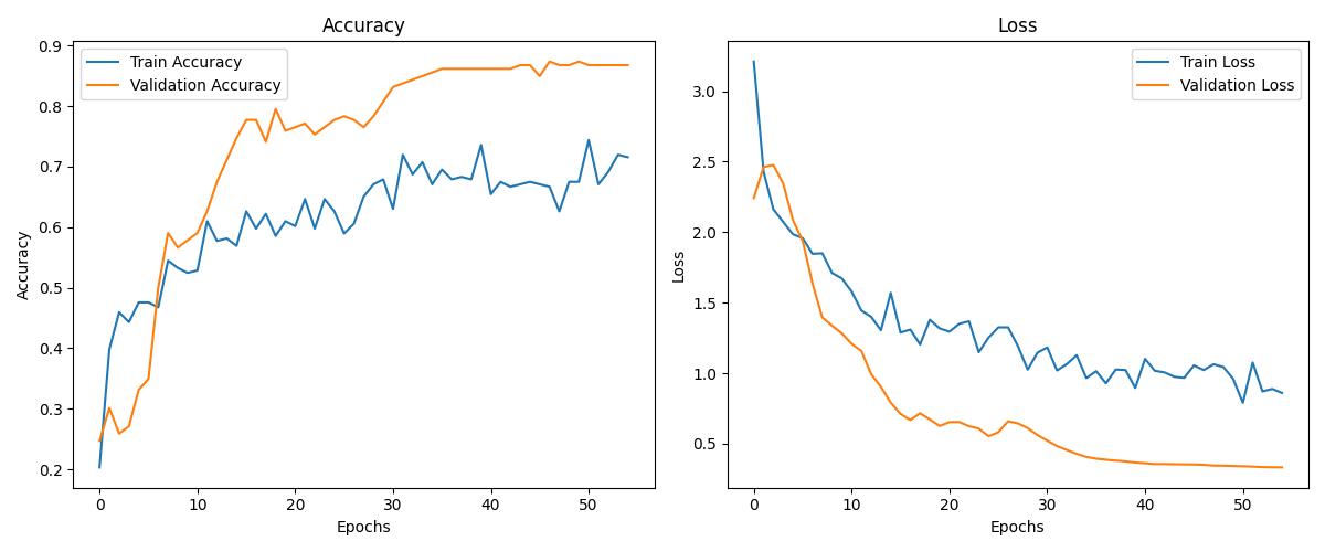 Loss_Acuracy_Graph.jpg