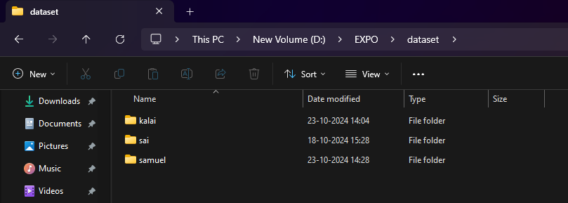 dataset.png