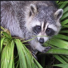 WhatsApp Image 2024-12-23 at 19.57.04_1c569a74.jpg