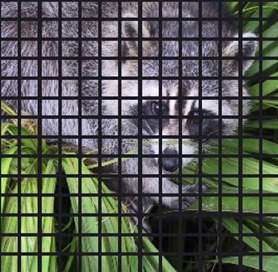 WhatsApp Image 2024-12-23 at 19.57.10_e6d8b20f.jpg