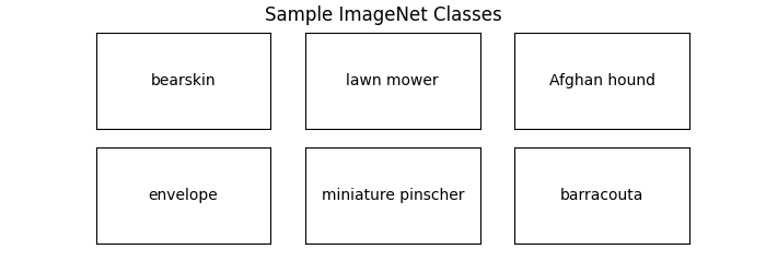 ImageNet Classes.png
