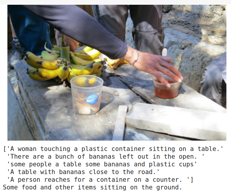 sample_image_captioned1.png