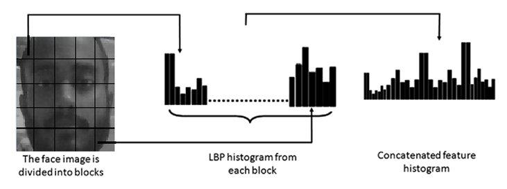 Capture d’écran_26-12-2024_163016_.jpeg