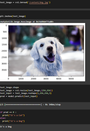 dogand cat classifier.png