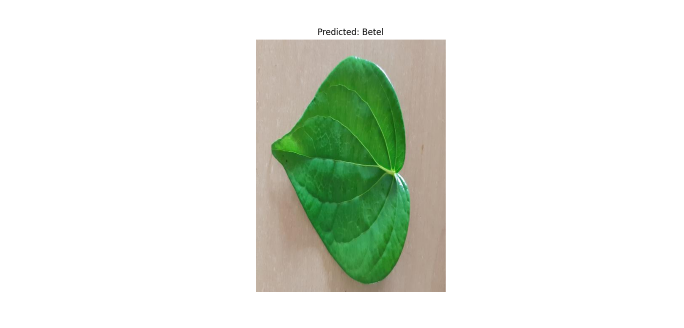 predicted leaf.png