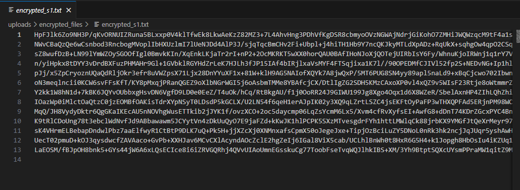 rsa encrypted input file.png