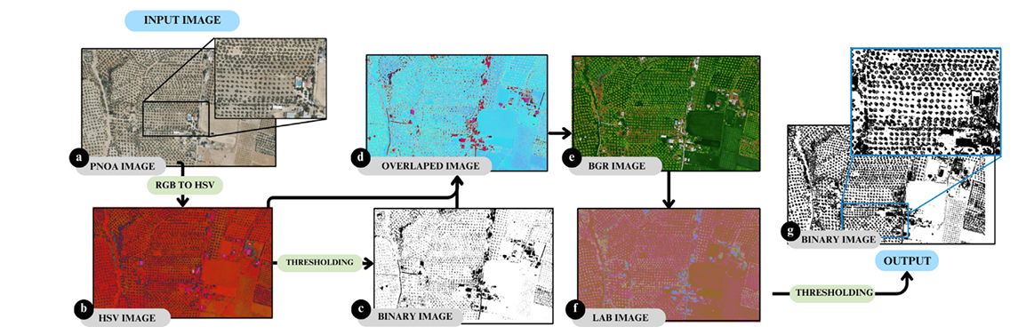 Publication hero image