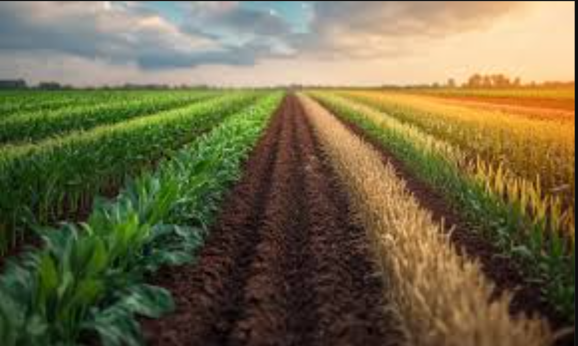 Publication hero image