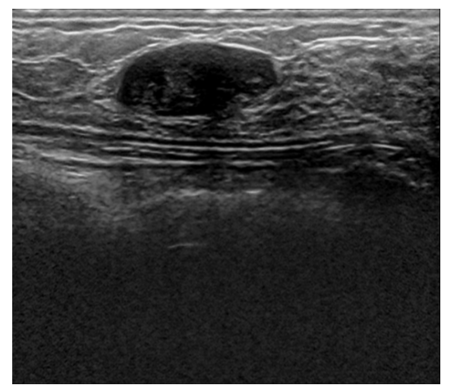 Screenshot 2024-09-18 at 2.02.19 PM.png