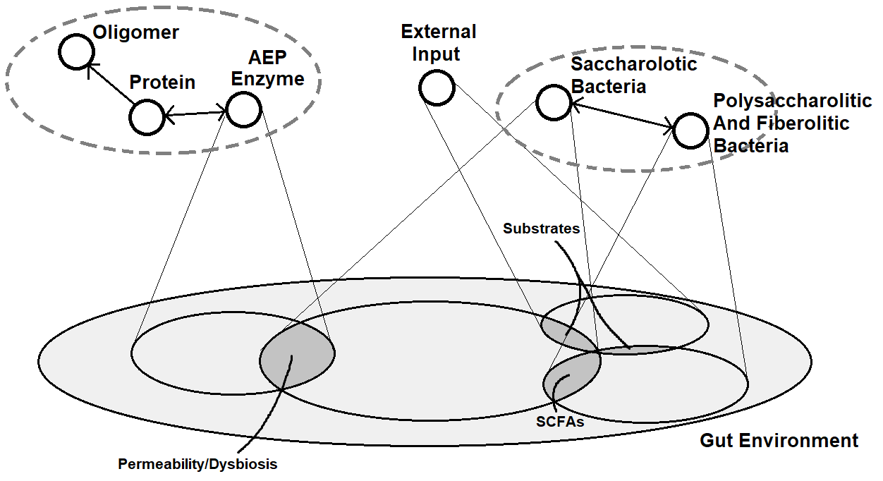 GutEnvironmentStructure.png
