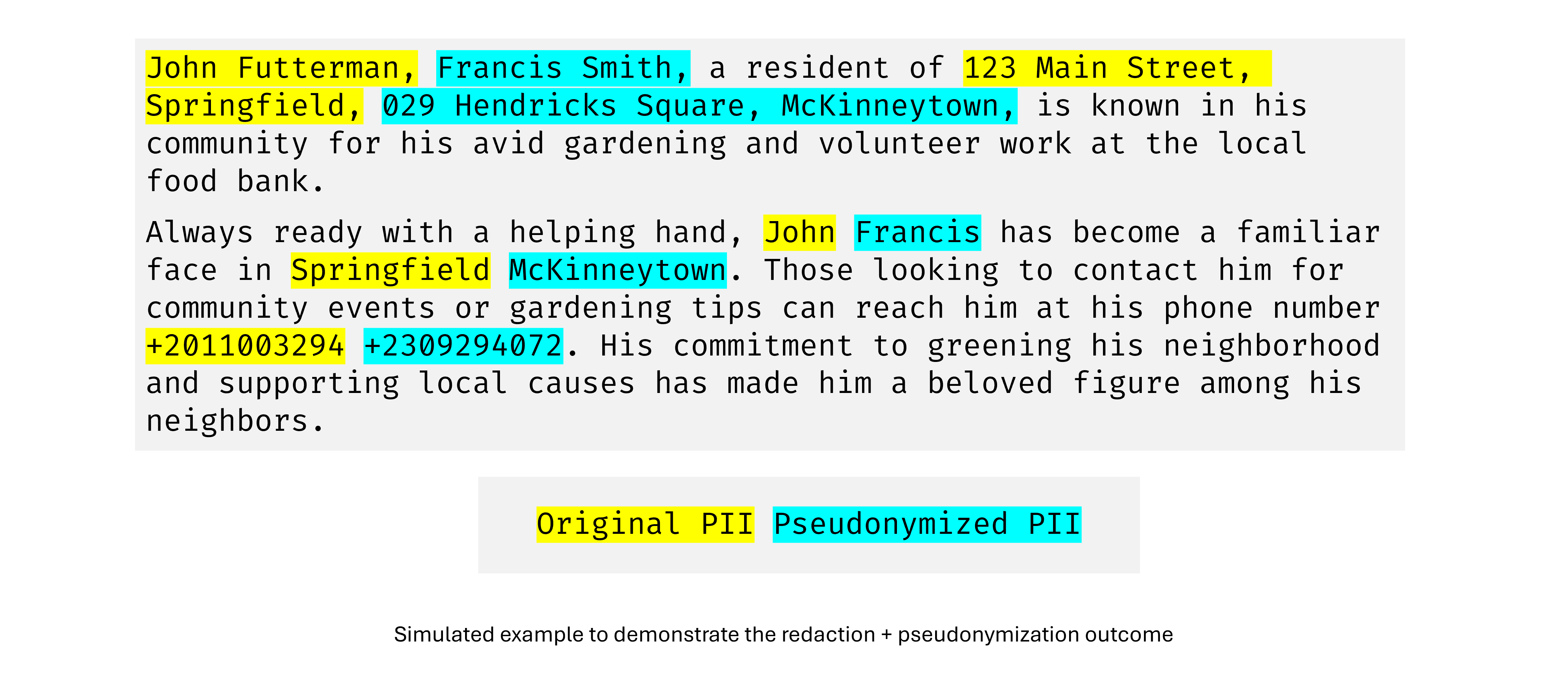 redaction-example.png