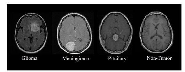 Screenshot 2024-12-09 021534.png