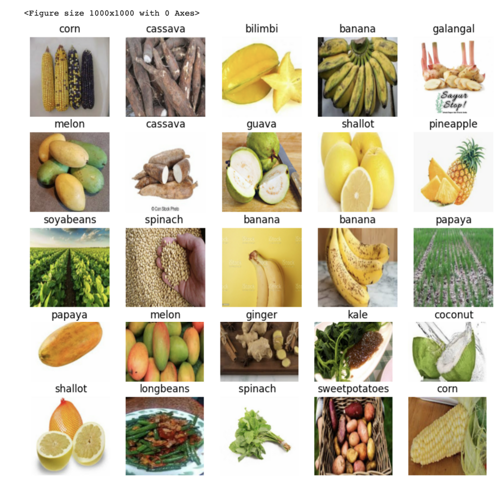 Screenshot 2024-11-27 at 1.45.17 PM.png