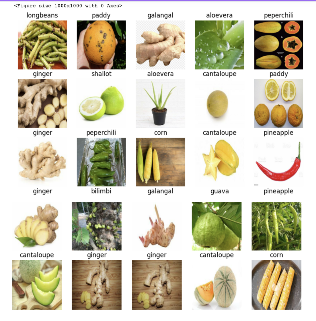 Screenshot 2024-11-27 at 1.48.50 PM.png