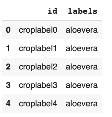 Screenshot 2024-11-27 at 12.59.01 PM.png