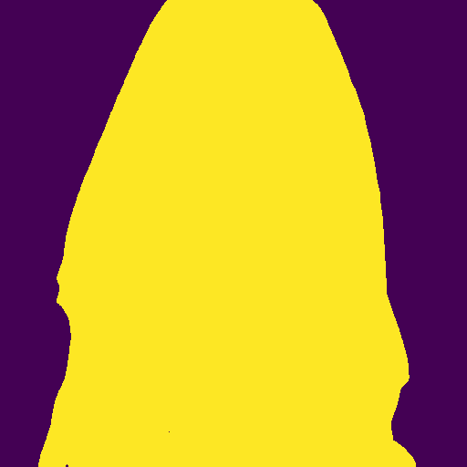 segmentation_mask.png
