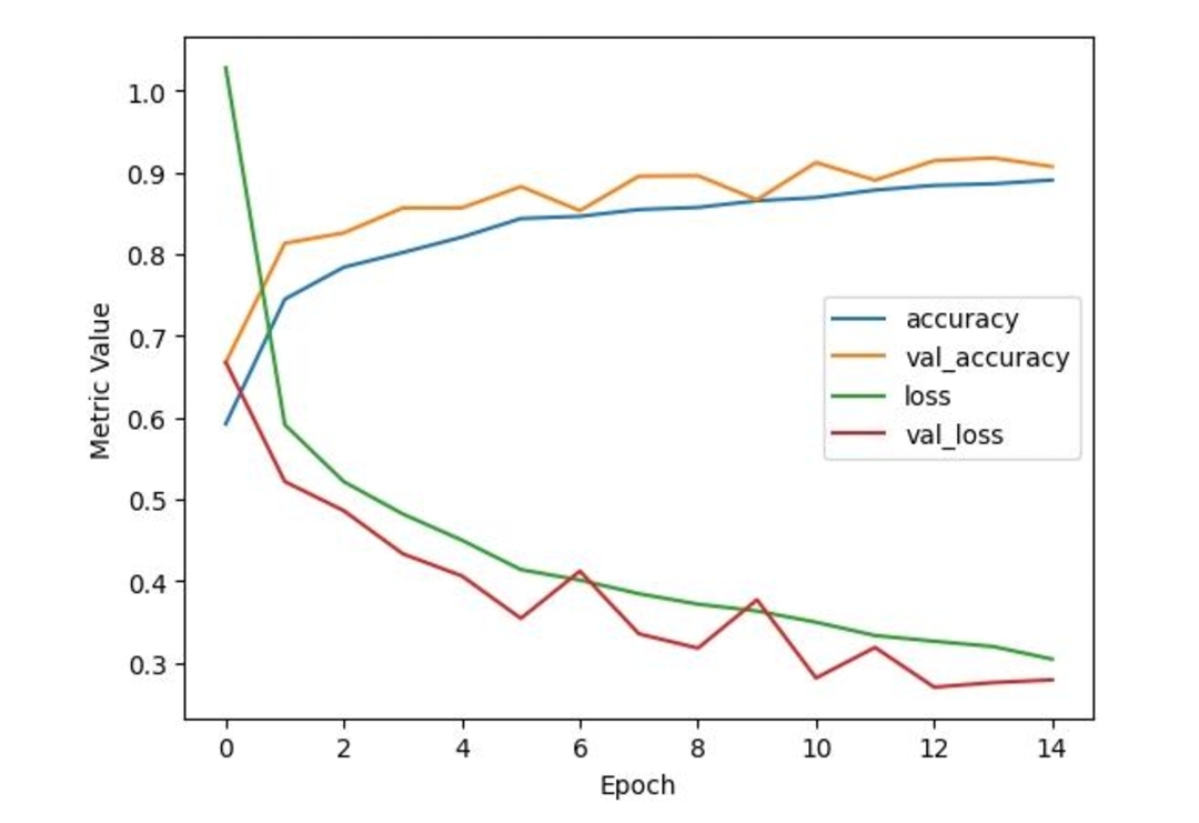 training_curves.jpg
